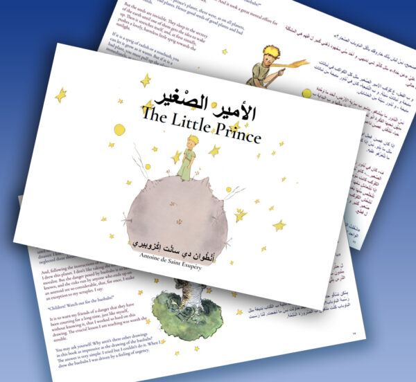 The Little Prince, Complete Video Book plus gift - Image 3